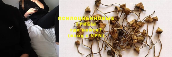 мет Алексин