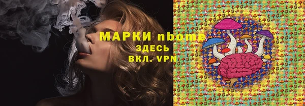 мет Алексин