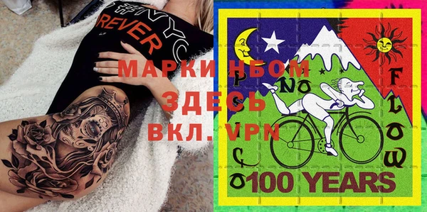 мет Алексин