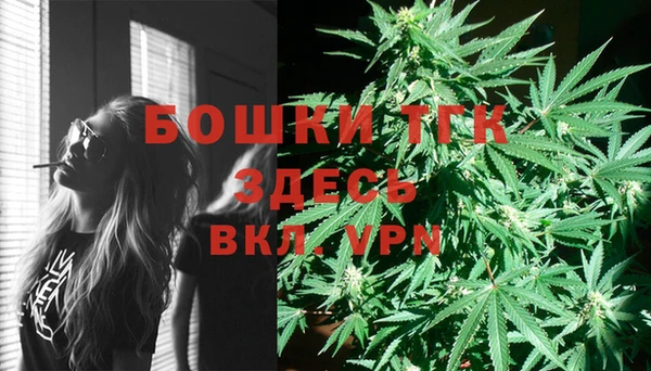 мет Алексин