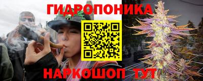 гидропоника Заводоуковск