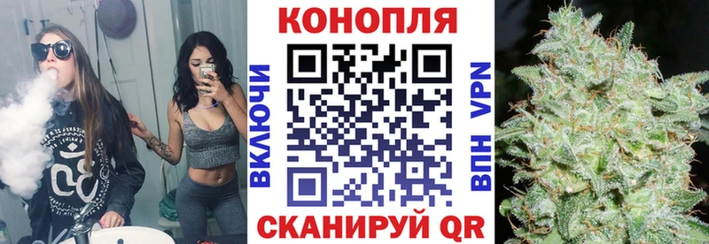 Конопля индика  Муравленко 